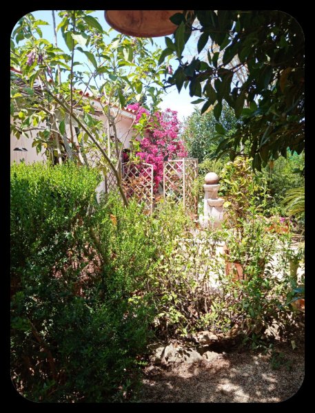 Across the Sand Garden 9 May 22.jpg