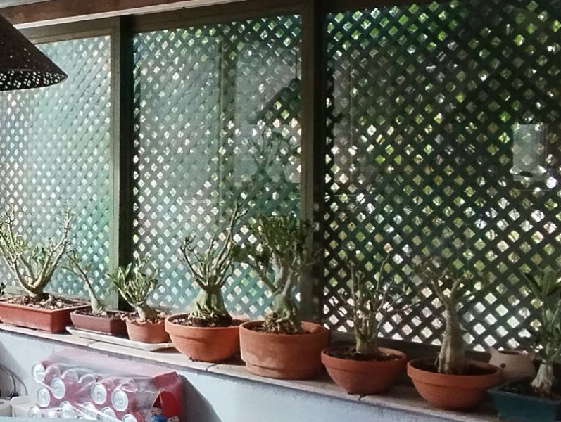 Ads in Baffa1214 Oct 25.jpg