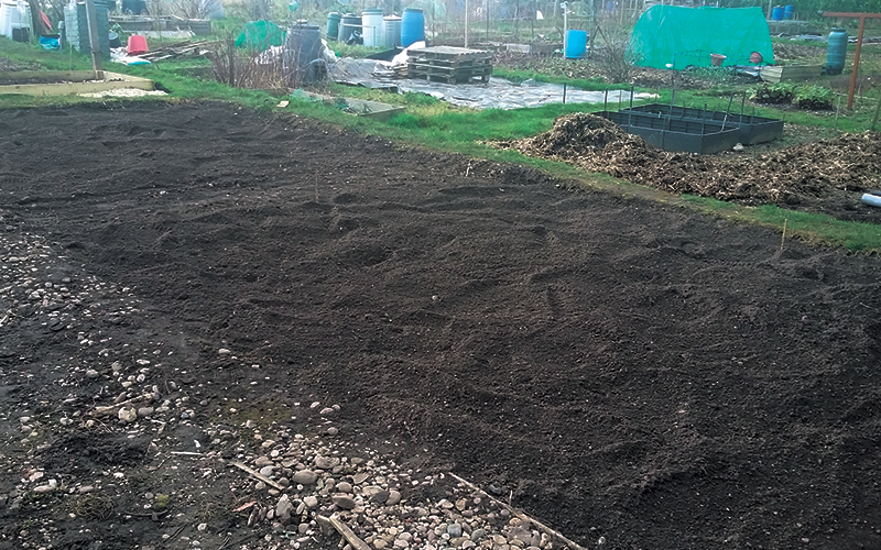 allotment03.png