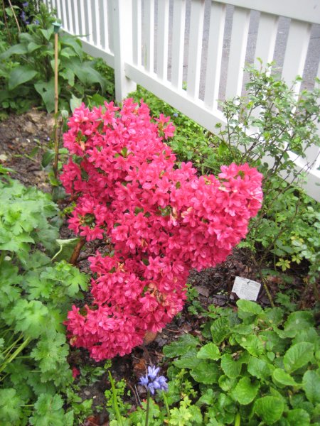 Allpics2012 1944.JPG