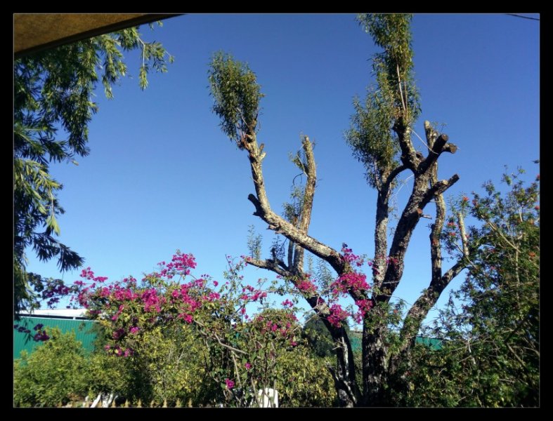 Almobd & Bougie 2 Dec 20.jpg