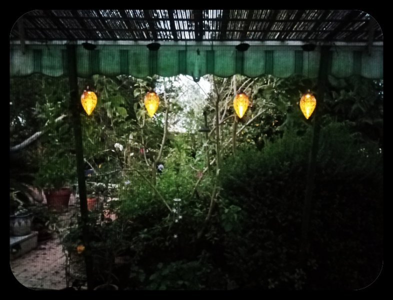 Alpemdre Lights at Night  27 Jun 22.jpg