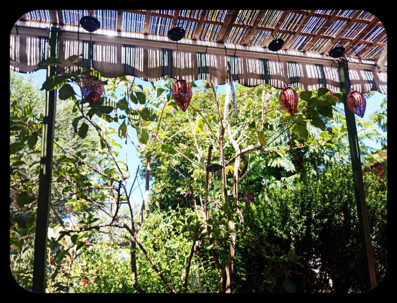 Alpendre Lights 27 Jun 22.jpg