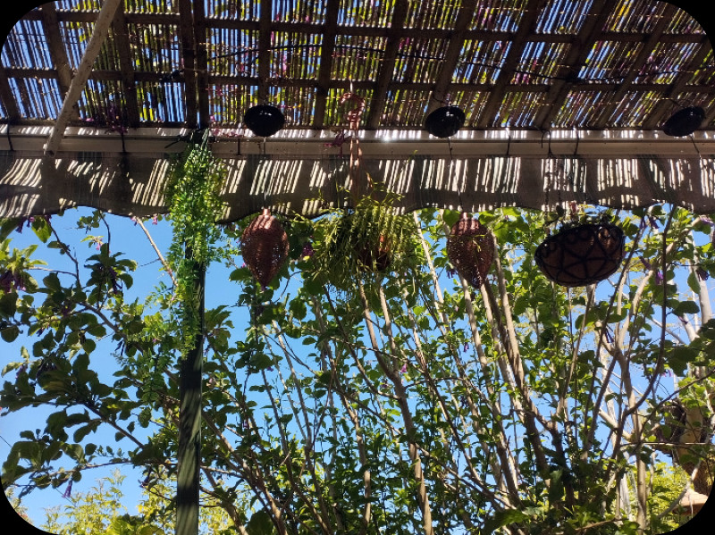 Alpendre1 1 May25.jpg