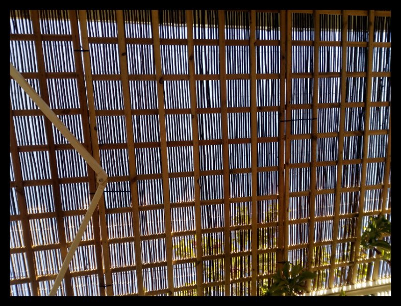 Alpendre2 17 Mar 21.jpg