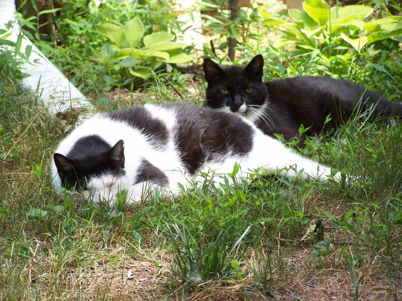 always together..jpg