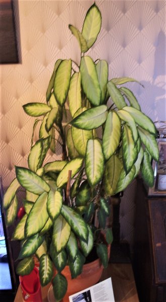 And what is this.JPG