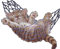 animated-cat-image-0215.gif