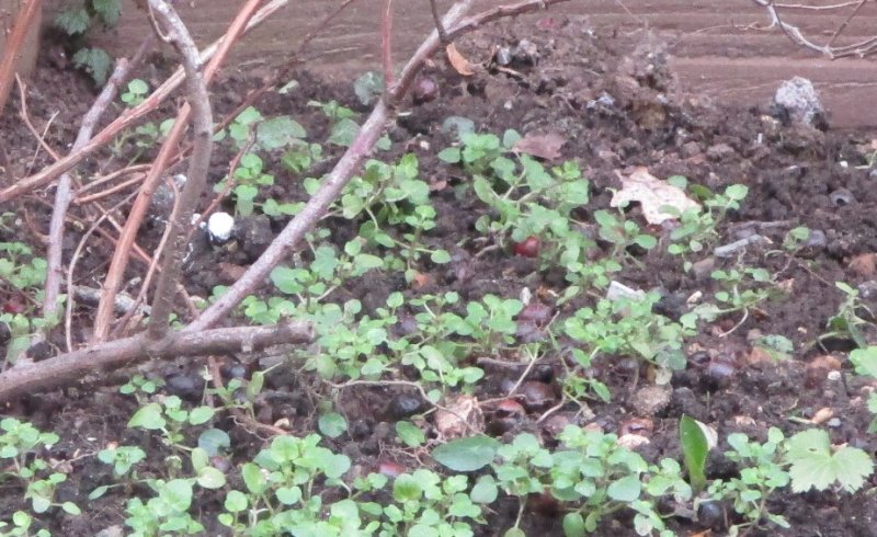 Annotation 2020-01-24 163857.jpg