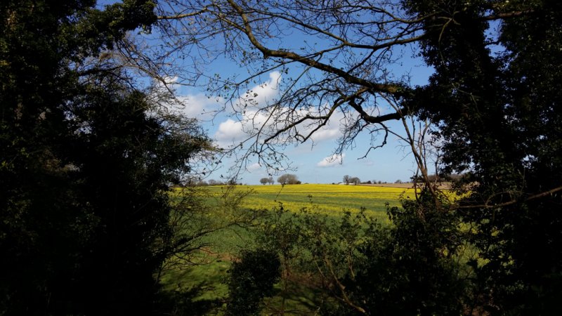 April Phone 01 (1024x576) (10).jpg