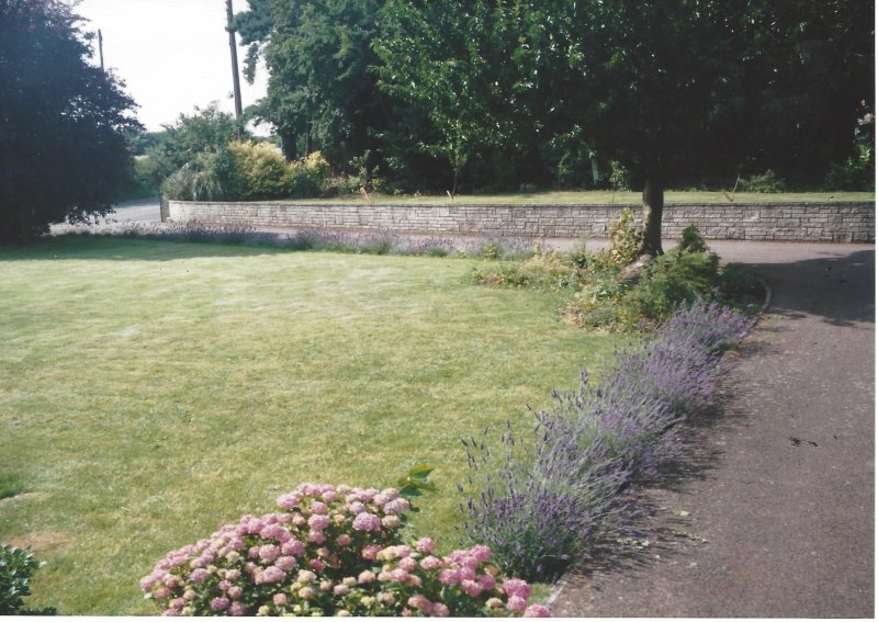 arid area soon after we moved in.jpg