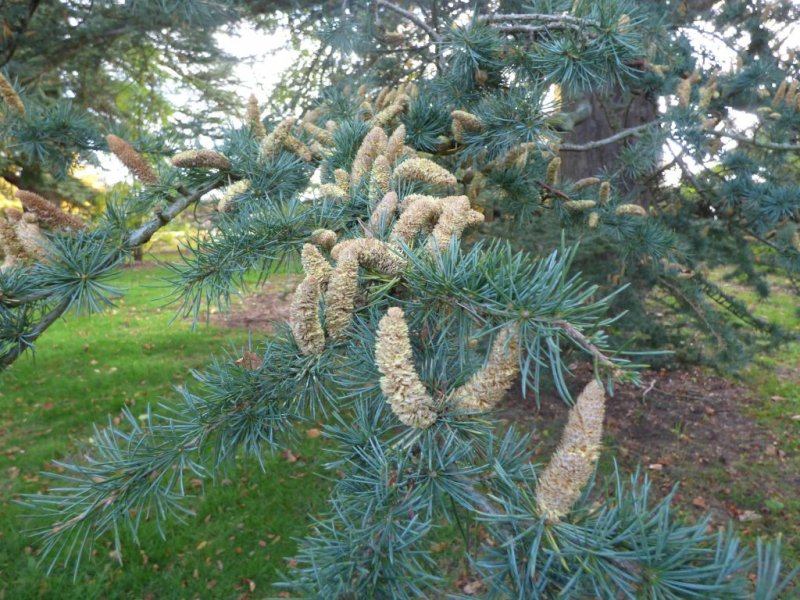 Arley and Dudmaston 007.JPG