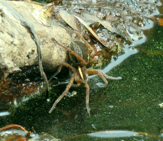 ARNE RAFT  4 (1).JPG