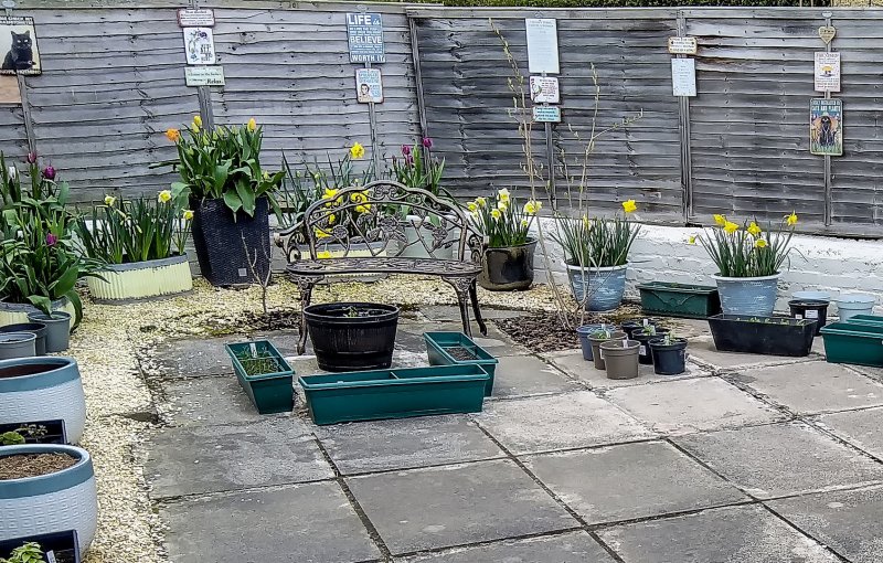 Arround the drive 16-4-22.jpg