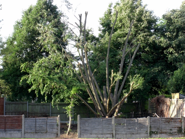 Aug 2010 (640x480).jpg