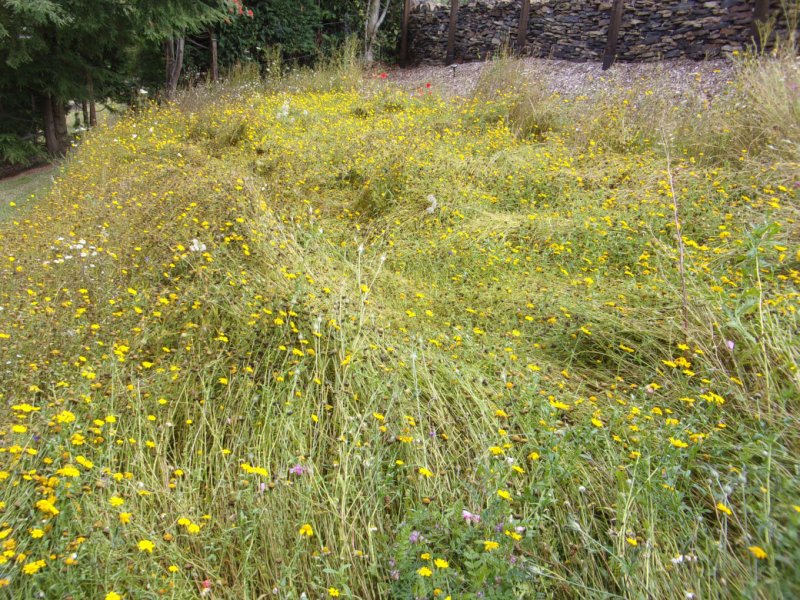 Aug 2021 damage_0001.JPG