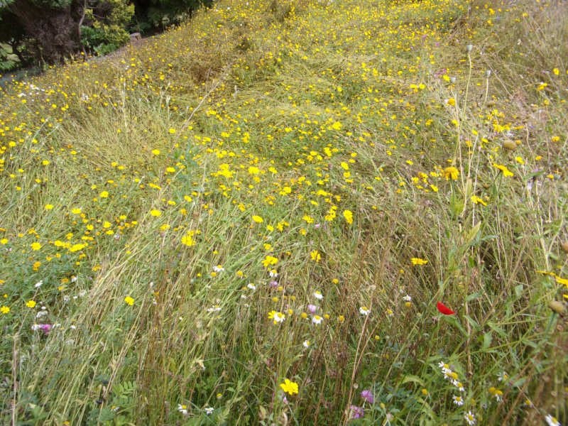 Aug 2021 damage_0002.JPG