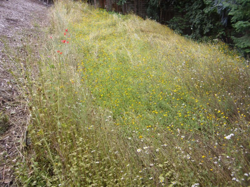 Aug 2021 damage_0003.JPG