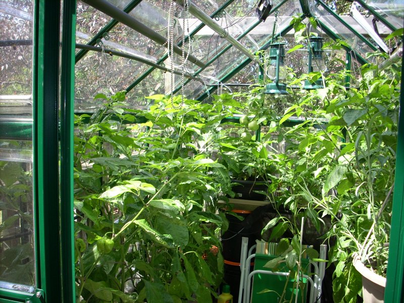 August 13 2013 025.JPG