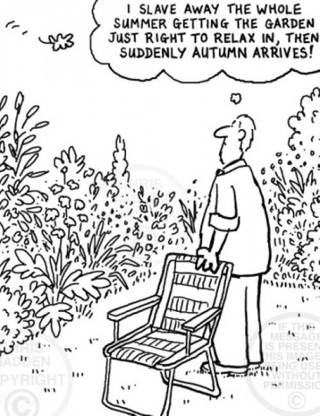 Autumn arrives.jpg