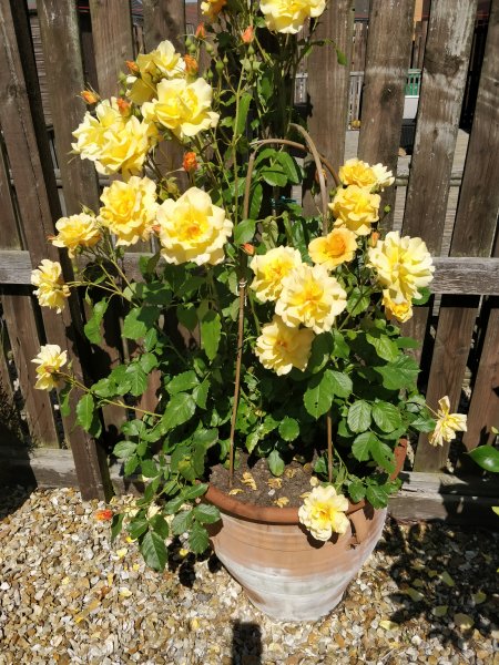 Autumn sunset (3).jpg