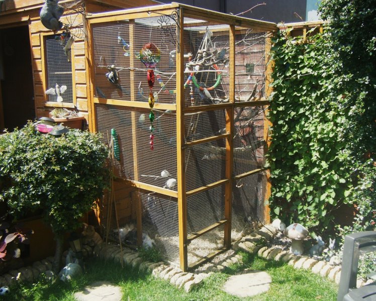 aviary (4).JPG