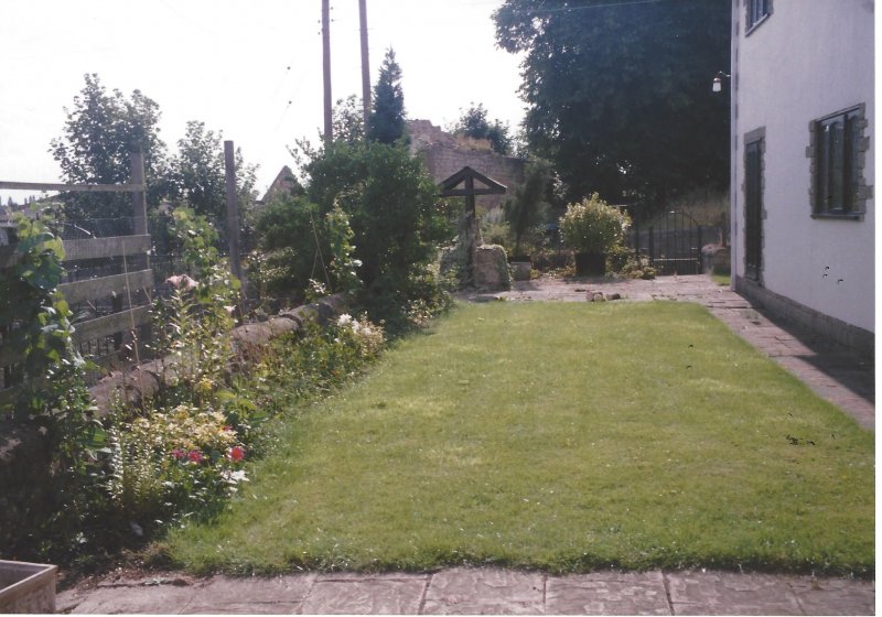 back garden before tropicals.jpg