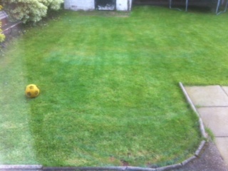 Back garden on Lawnsmith extra-long.jpg