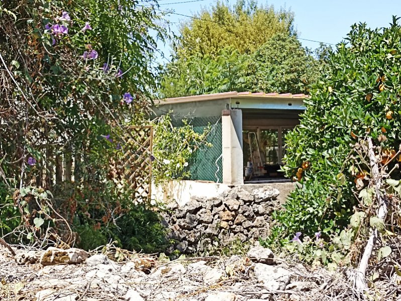 Baffa from Orchard 28 Jun 22.jpg