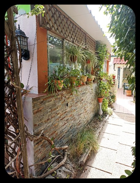 Baffa Wall 12 Aug 22.jpg