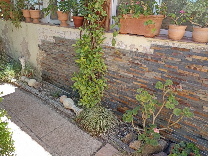 Baffa Wall 20 Jul 22.jpg