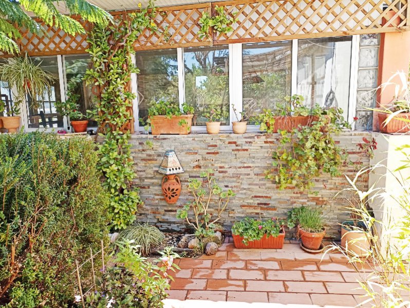 Baffa Wall 30 Jul 22.jpg