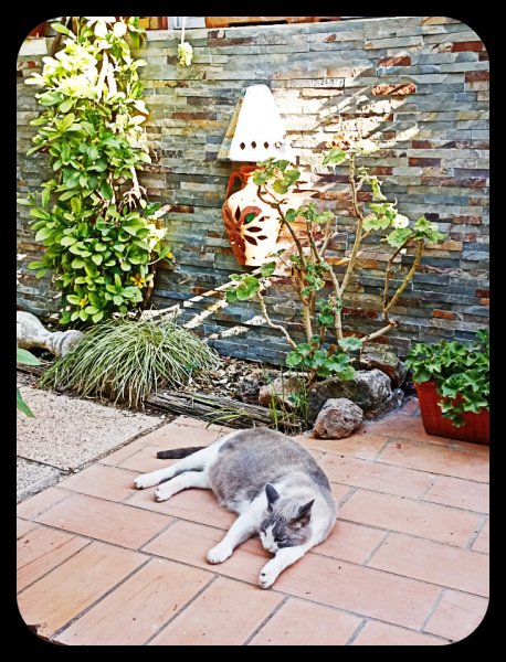 Baffa Wall Boy 30 Jul 22.jpg