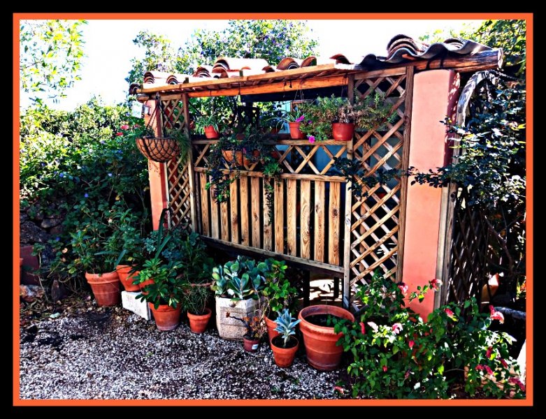 Baffarinha 15 Oct.jpg