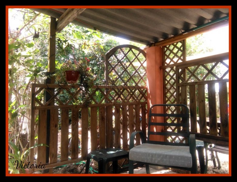 Baffarinha Apr 20.jpg