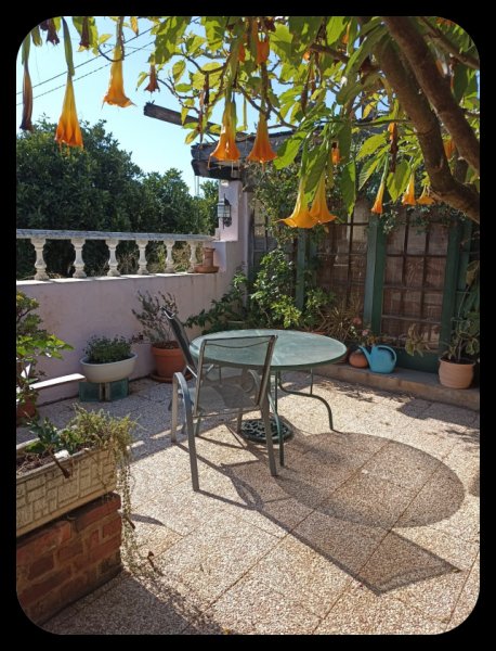 Baffio1 27 Oct 21.jpg