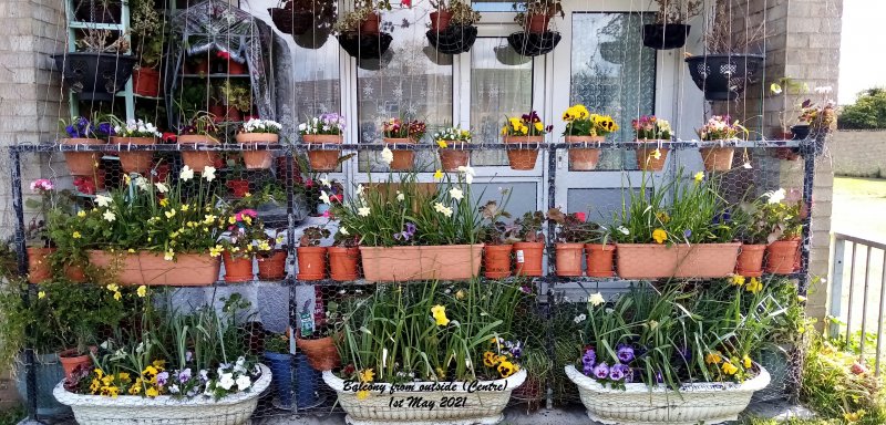 Balcony from outside (Centre) 1st May 2021.jpg