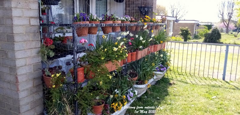 Balcony from outside (Left) 1st May 2021.jpg