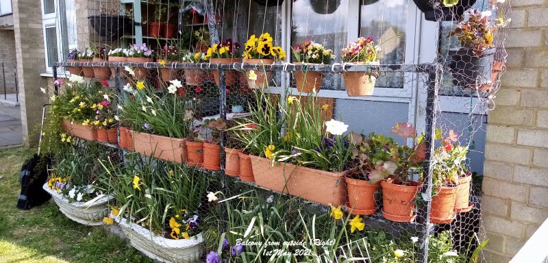 Balcony from outside (Right) 1st May 2021.jpg