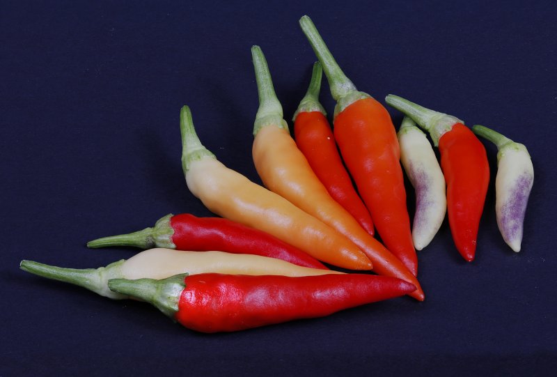 Basket of fire 2000.jpg