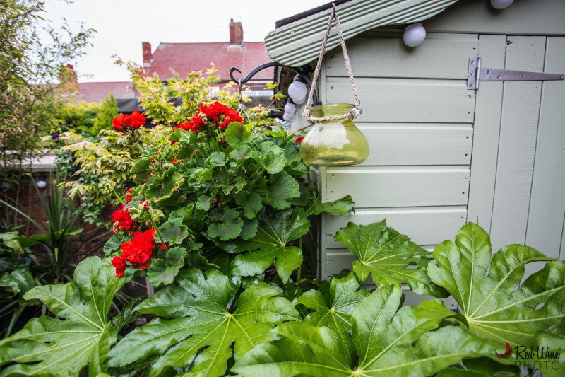 basket2 (1 of 1).jpg