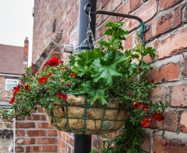 basket5 (1 of 1).jpg