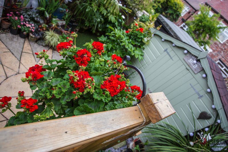 basket6 (1 of 1).jpg