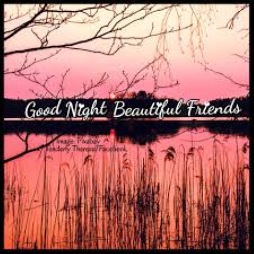 Beautiful friends.jpg