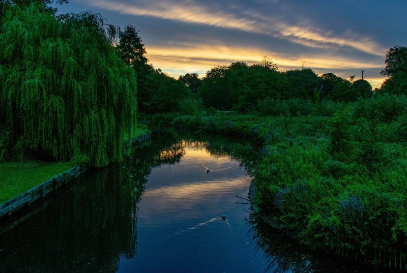 beddington park2.jpg