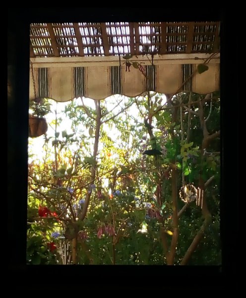 Bedroom Window 17 Sep 21.jpg