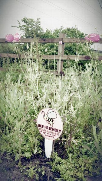 Bee-Friendly-Monmouthshire-roadside-signs.jpg