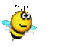 bee_flying.gif