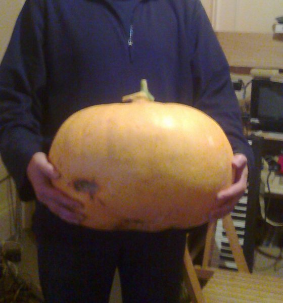big pumpkin.jpg