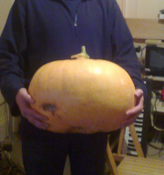 big pumpkin.jpg